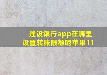 建设银行app在哪里设置转账限额呢苹果11