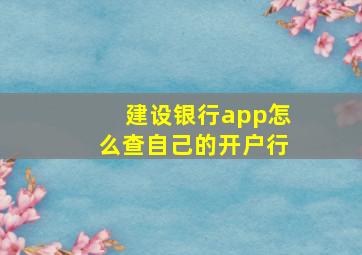 建设银行app怎么查自己的开户行