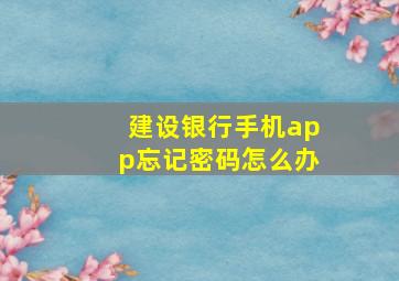 建设银行手机app忘记密码怎么办