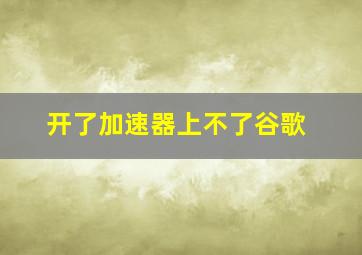 开了加速器上不了谷歌