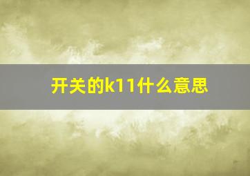 开关的k11什么意思