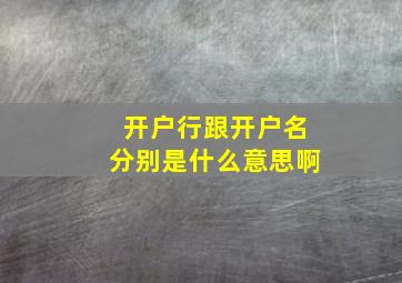 开户行跟开户名分别是什么意思啊