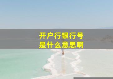 开户行银行号是什么意思啊