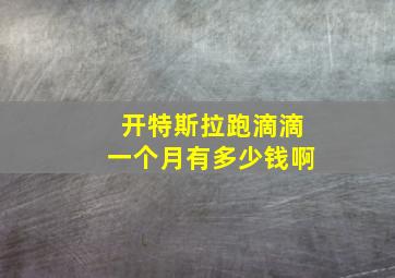 开特斯拉跑滴滴一个月有多少钱啊