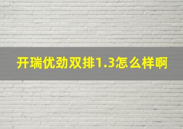 开瑞优劲双排1.3怎么样啊