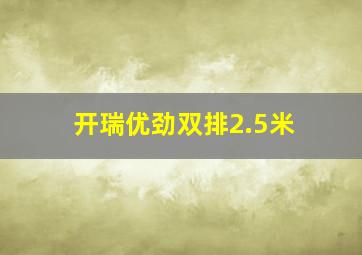 开瑞优劲双排2.5米