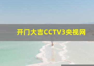 开门大吉CCTV3央视网