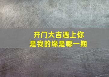 开门大吉遇上你是我的缘是哪一期