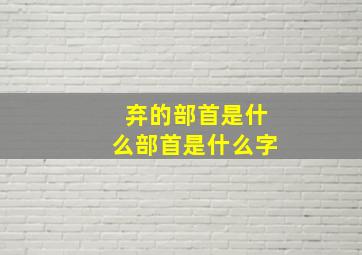 弃的部首是什么部首是什么字