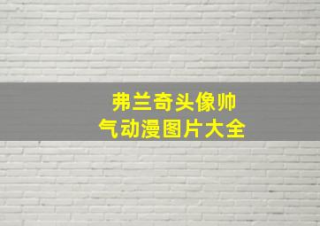 弗兰奇头像帅气动漫图片大全