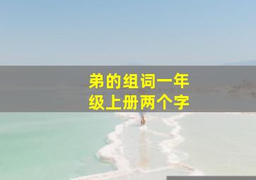 弟的组词一年级上册两个字