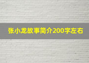 张小龙故事简介200字左右