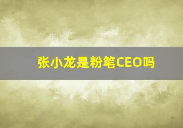 张小龙是粉笔CEO吗