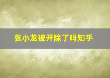 张小龙被开除了吗知乎