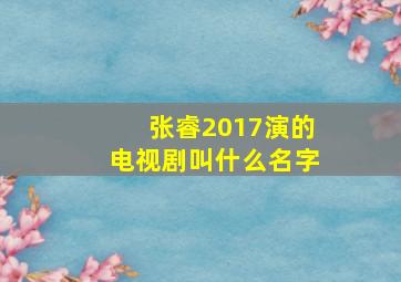 张睿2017演的电视剧叫什么名字