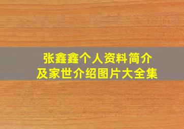 张鑫鑫个人资料简介及家世介绍图片大全集