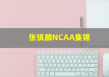 张镇麟NCAA集锦