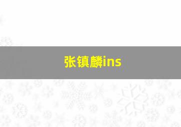 张镇麟ins