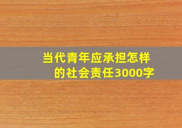 当代青年应承担怎样的社会责任3000字