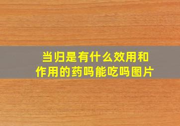 当归是有什么效用和作用的药吗能吃吗图片