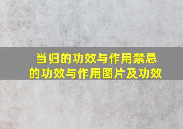 当归的功效与作用禁忌的功效与作用图片及功效