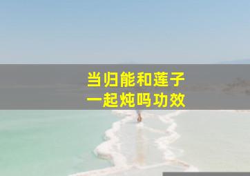 当归能和莲子一起炖吗功效