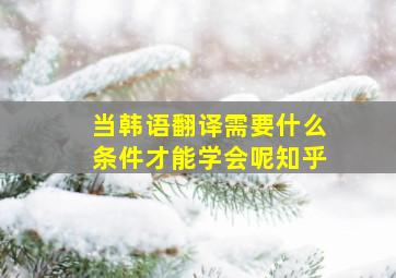 当韩语翻译需要什么条件才能学会呢知乎