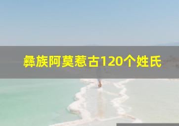 彝族阿莫惹古120个姓氏