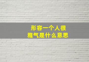 形容一个人很雅气是什么意思