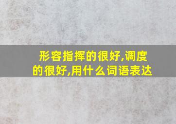 形容指挥的很好,调度的很好,用什么词语表达