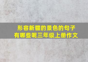 形容新疆的景色的句子有哪些呢三年级上册作文