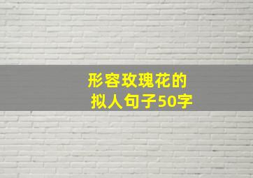 形容玫瑰花的拟人句子50字