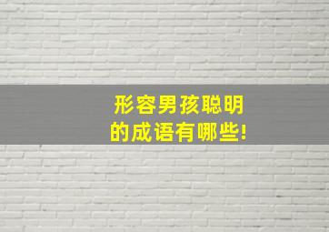 形容男孩聪明的成语有哪些!