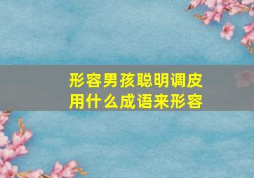 形容男孩聪明调皮用什么成语来形容