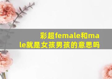 彩超female和male就是女孩男孩的意思吗