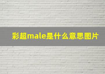 彩超male是什么意思图片