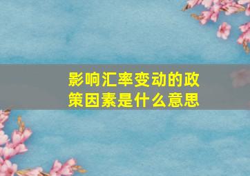 影响汇率变动的政策因素是什么意思