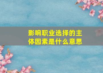 影响职业选择的主体因素是什么意思