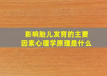 影响胎儿发育的主要因素心理学原理是什么