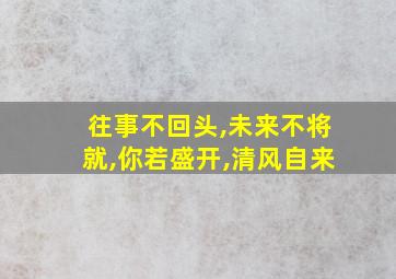 往事不回头,未来不将就,你若盛开,清风自来