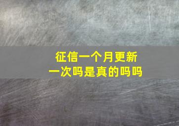 征信一个月更新一次吗是真的吗吗