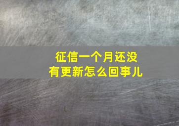 征信一个月还没有更新怎么回事儿