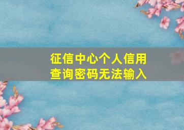 征信中心个人信用查询密码无法输入