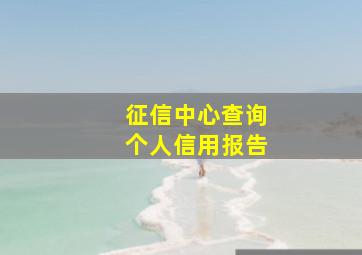 征信中心查询个人信用报告