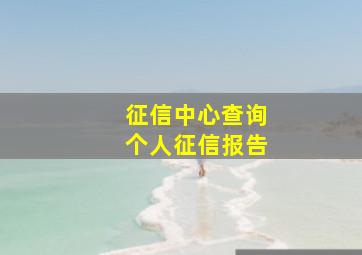 征信中心查询个人征信报告