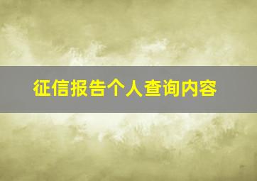 征信报告个人查询内容