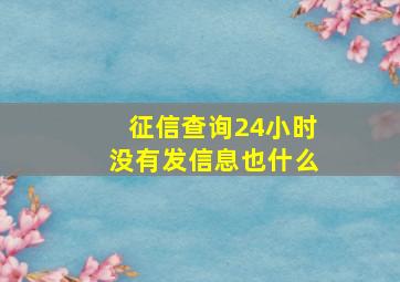 征信查询24小时没有发信息也什么