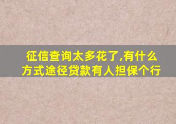 征信查询太多花了,有什么方式途径贷款有人担保个行