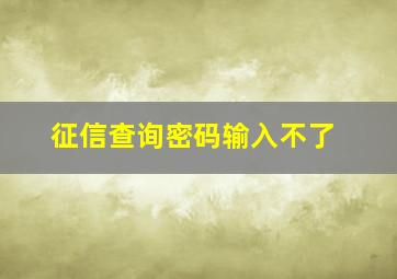 征信查询密码输入不了