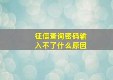 征信查询密码输入不了什么原因